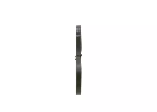 BOSCH V-Belt (1987948145)