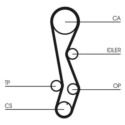 Timing Belt