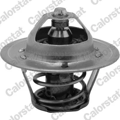 Thermostat, coolant