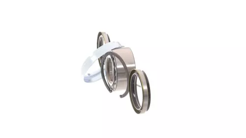 SKF Wheel Bearing Kit (VKBA3308)