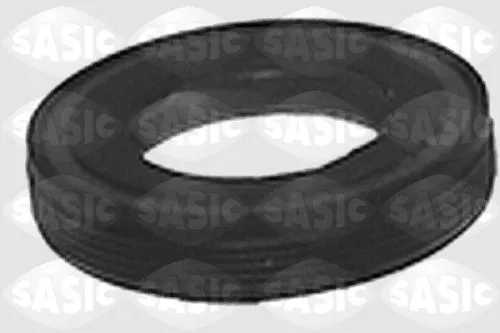 SASIC Shaft Seal, differential (1213243)