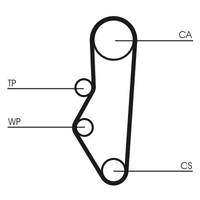 Timing Belt Kit
