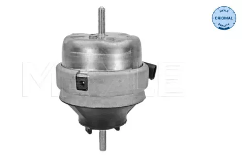 Mounting, engine