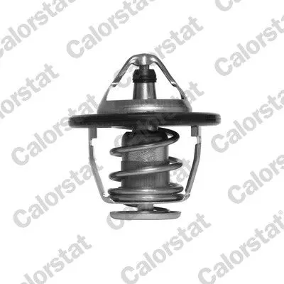 CALORSTAT by Vernet Thermostat, coolant (6520.82J)