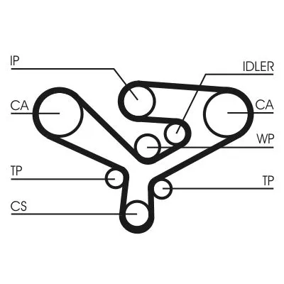 Timing Belt