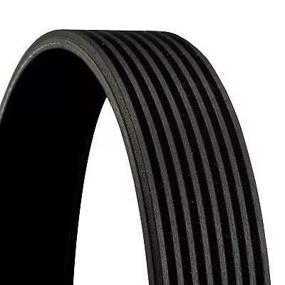 CONTINENTAL CTAM V-Ribbed Belt (8PK1920)