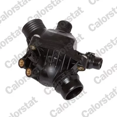 CALORSTAT by Vernet Thermostat, coolant (6984.97J)