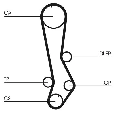 Timing Belt