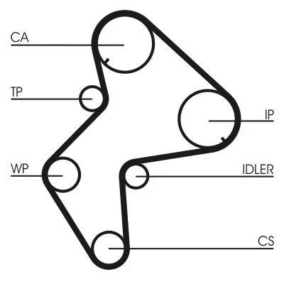 CONTINENTAL CTAM Water Pump & Timing Belt Kit (CT772WP1)