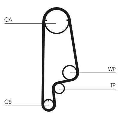 Timing Belt
