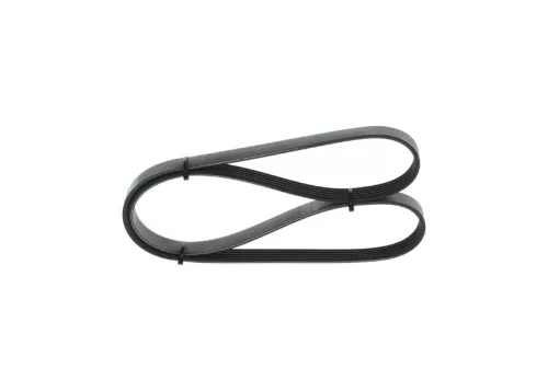 V-Ribbed Belt