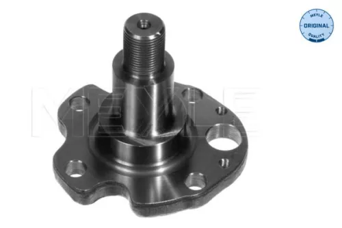 Steering Knuckle, wheel suspension