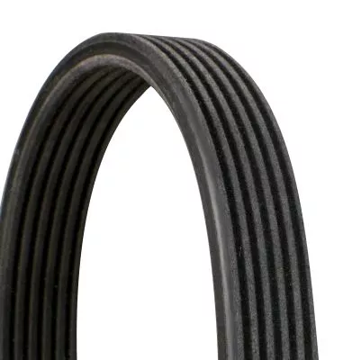CONTINENTAL CTAM V-Ribbed Belt (6DPK1352)