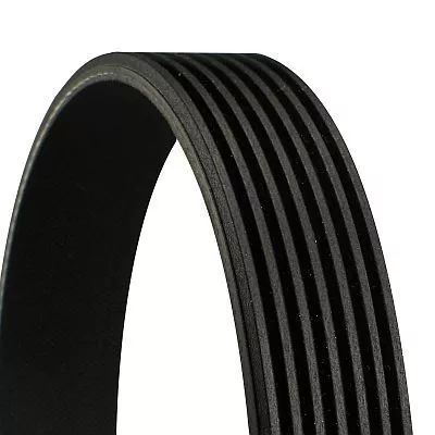 CONTINENTAL CTAM V-Ribbed Belt (7PK1153)