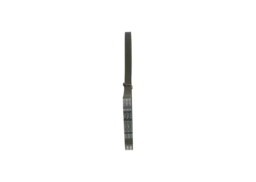 BOSCH V-Ribbed Belt (1987947807)