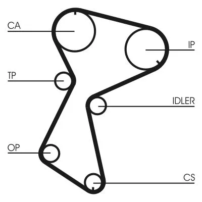 CONTINENTAL CTAM Timing Belt (CT935)