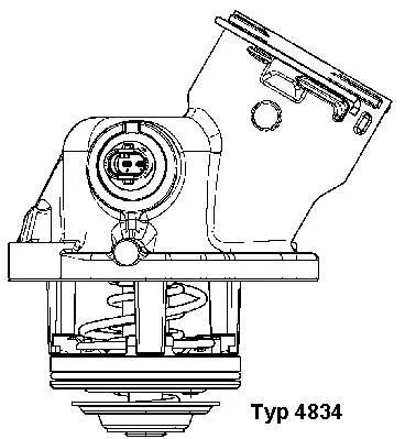 BorgWarner (Wahler) Thermostat, coolant (4834.100D)