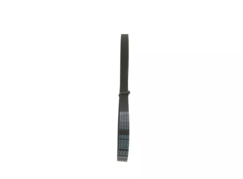 BOSCH V-Ribbed Belt (1987947939)