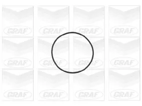 GRAF Water Pump, engine cooling (PA696)