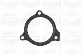 GRAF Water Pump, engine cooling (PA902)