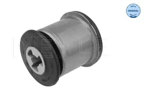 Mounting, control/trailing arm