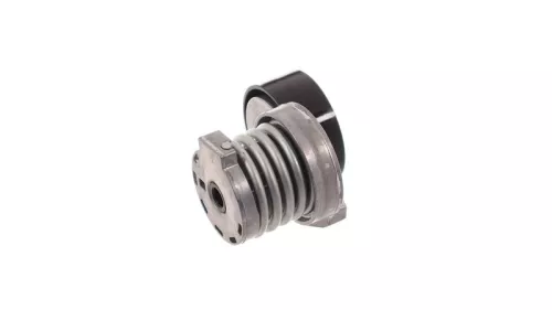 SKF Belt Tensioner, V-ribbed belt (VKM36146)