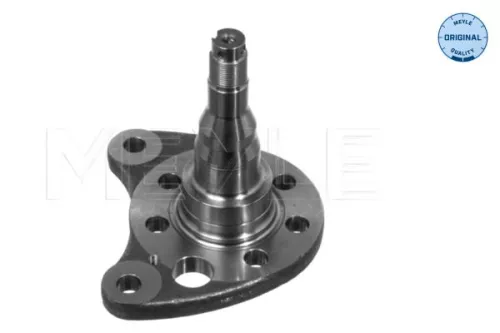 Steering Knuckle, wheel suspension