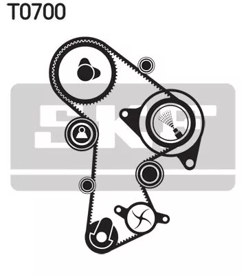 SKF Water Pump & Timing Belt Kit (VKMC01263-1)