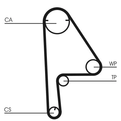 Timing Belt