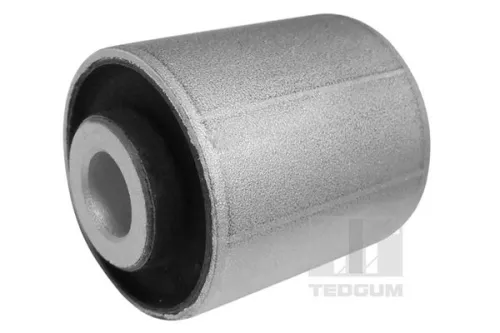 Mounting, control/trailing arm