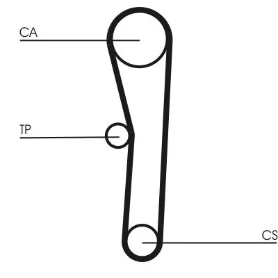 CONTINENTAL CTAM Timing Belt (CT536)