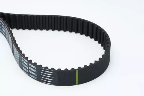 Timing Belt