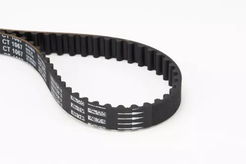 Timing Belt