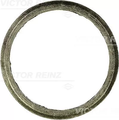 Seal Ring, exhaust pipe