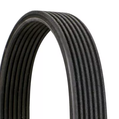 CONTINENTAL CTAM V-Ribbed Belt (7DPK1884)