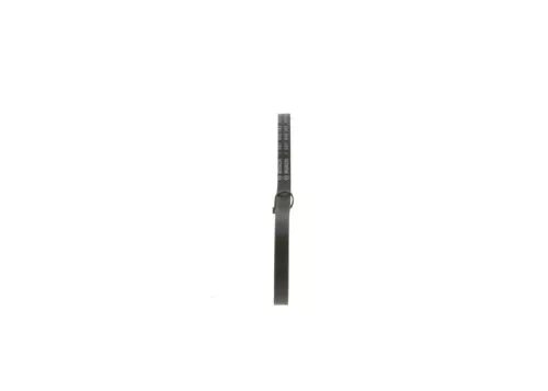BOSCH V-Belt (1987948143)