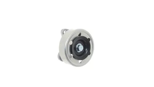 SKF Belt Tensioner, V-ribbed belt (VKM61019)