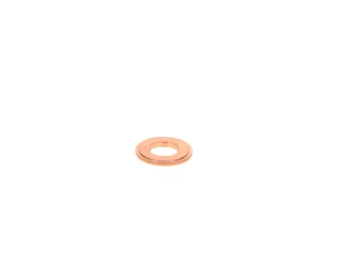 Seal Ring, injector