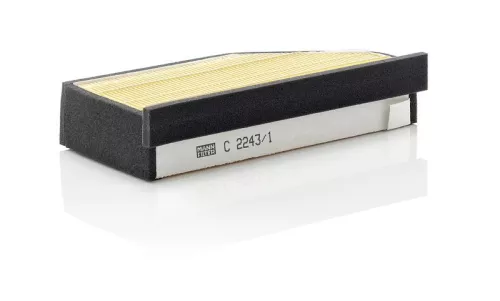 MANN-FILTER Air Filter (C2243/1)