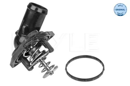 Thermostat, coolant