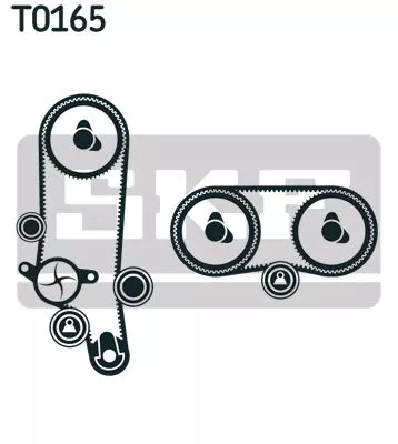SKF Water Pump & Timing Belt Kit (VKMC01121-1)