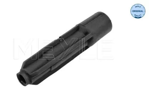 Plug, spark plug
