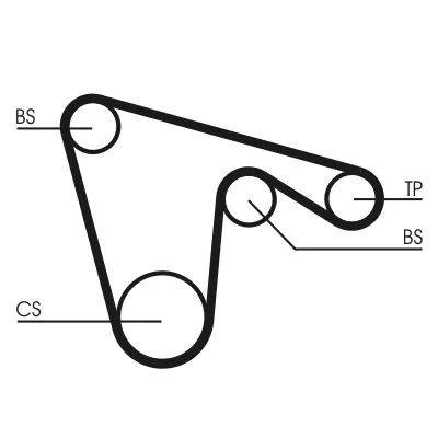Timing Belt