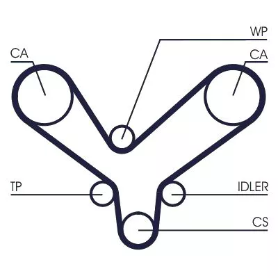 Timing Belt