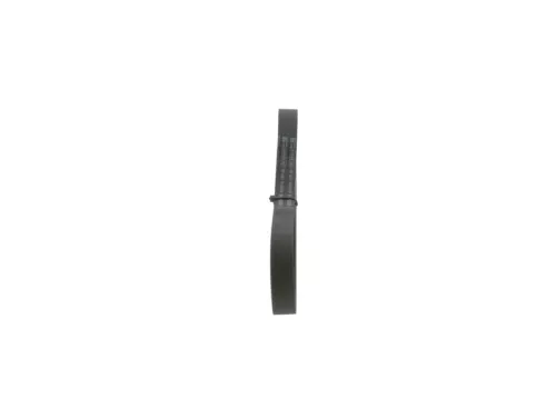 V-Ribbed Belt