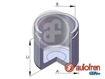 AUTOFREN SEINSA Piston, brake caliper (D02580)