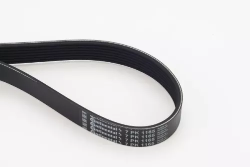 V-Ribbed Belt