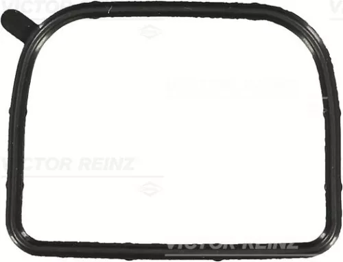 Gasket, intake manifold