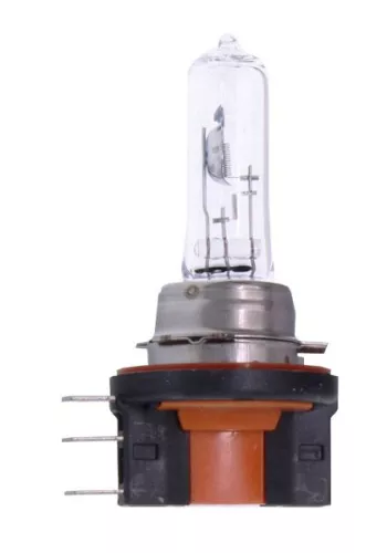 Bulb
