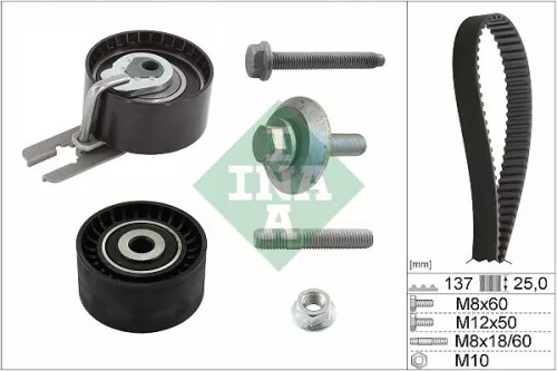 Timing Belt Kit
